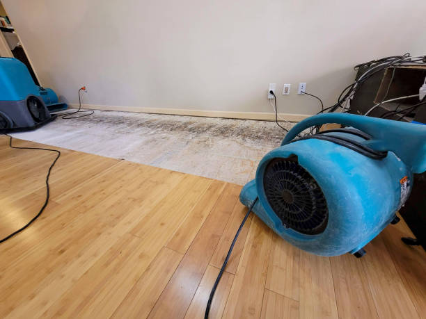 Professional Emergency Water Damage technician working in Bucyrus, KS